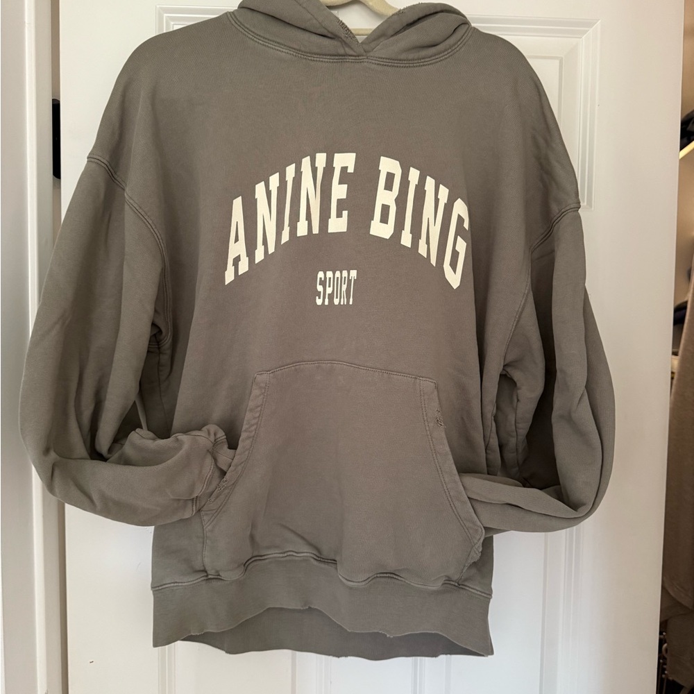 Anine Bing Sport Hoodie in Taupe
